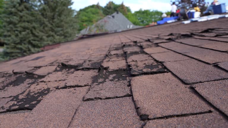 Fast & Reliable Emergency Roof Repairs in Poland, OH